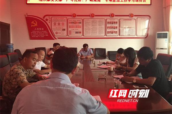 回龙圩组织部党支部开展专项整治工作学习活动