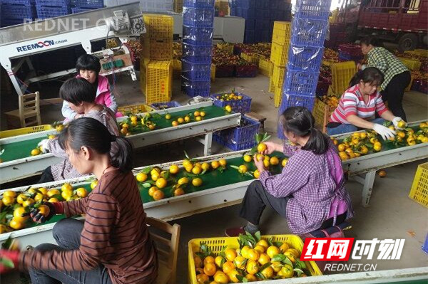 回龙圩：千余名农村妇女实现家门口就业