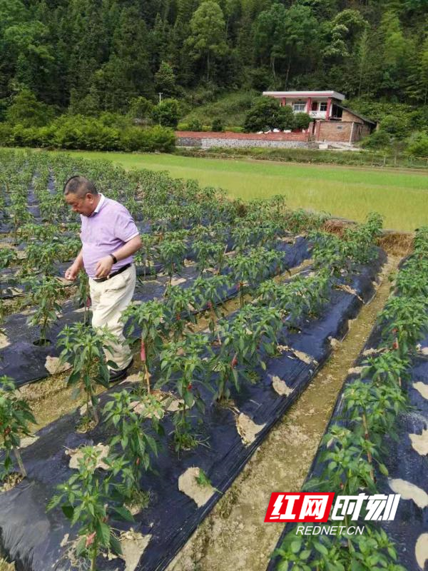 用爱心暖民心